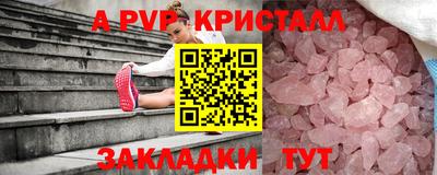 стаф Дубна