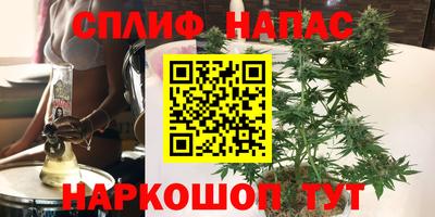 стаф Дубна