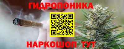 крисы Донецк