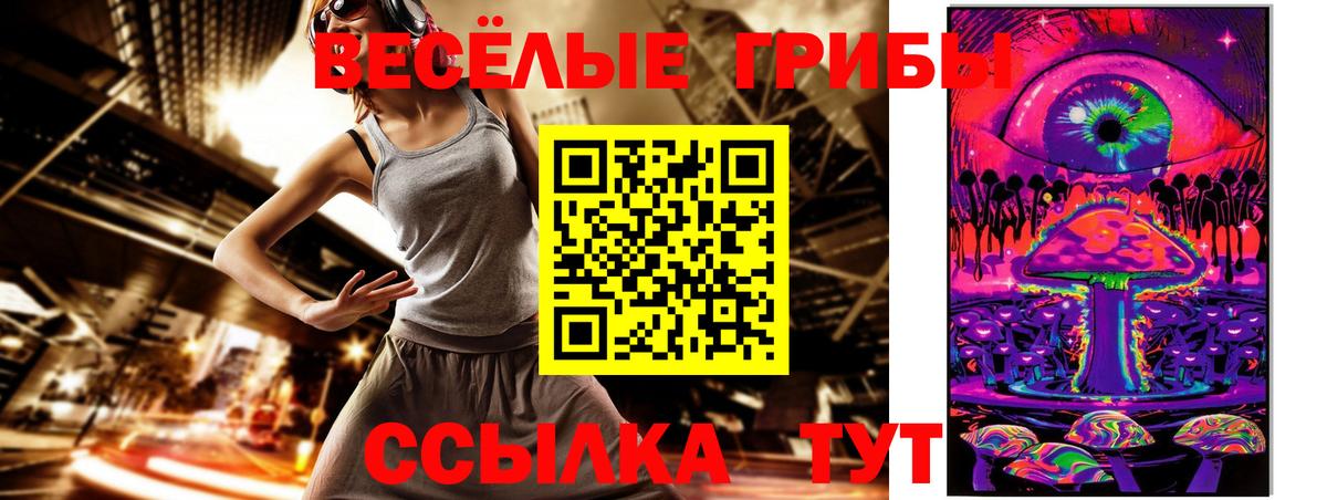 Минусинск  Галлюциногенные грибы GOLDEN TEACHER  Галлюциногенные грибы Psilocybe  Вход с VPN 